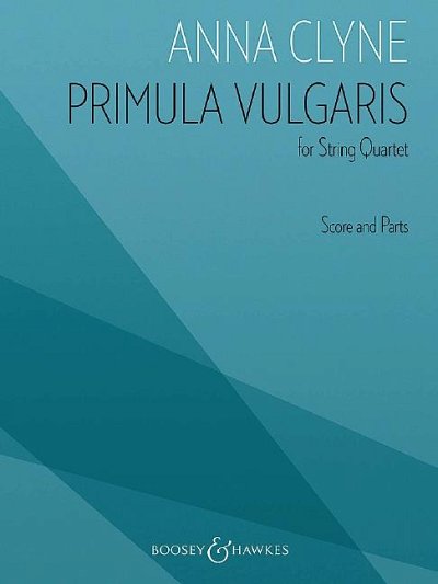 Primula Vulgaris, 2VlVaVc (Pa+St)