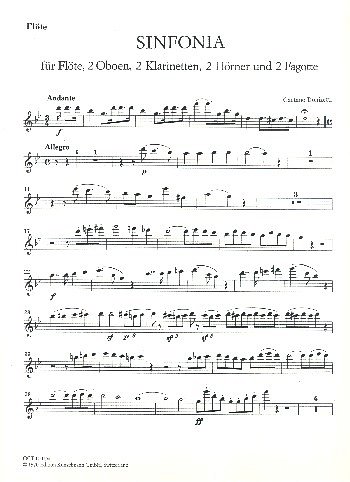 G. Donizetti: Sinfonia für Bläser g-Moll, Fl2Ob2Kl2H2F (Fl)