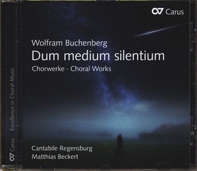 AQ: W. Buchenberg: Dum medium silentium (CD) (B-Ware)
