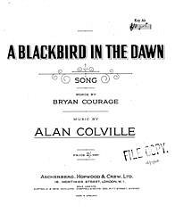 Alan Colville, Bryan Courage: A Blackbird In The Dawn