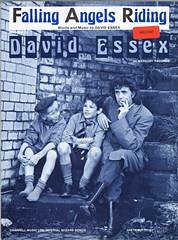David Essex: Falling Angels Riding