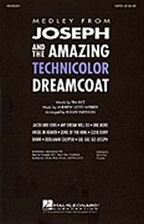 Webber Andrew Lloyd: Joseph + The Amazing Technicolor Dreamc