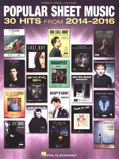 M. Hildner: Popular Sheet Music 2014-2016, GesKlaGitKey (SB)