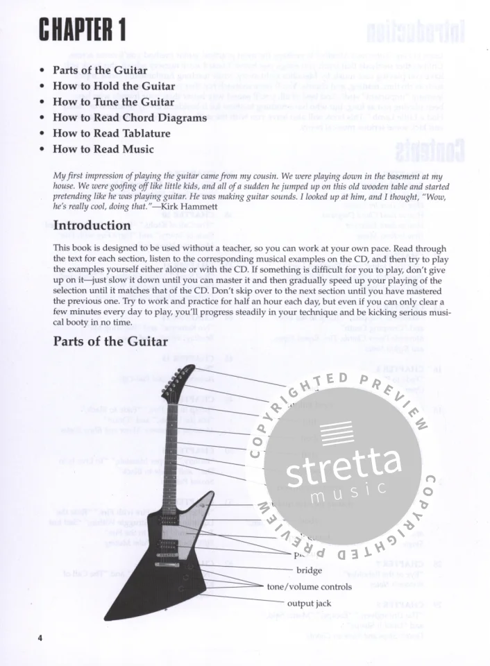 Metallica: Learn to Play Guitar with Metalli, E-Git (+TabCD) (2)