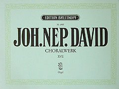 J.N. David: Choralwerk 17