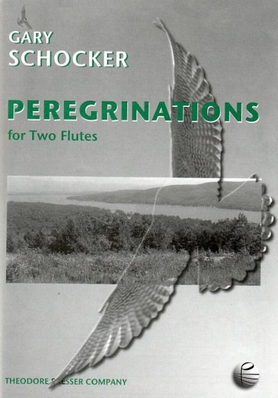 G. Schocker: Peregrinations