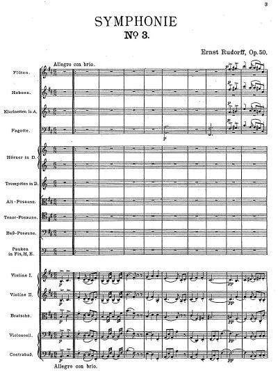 E. Rudorff: Symphonie Nr. 3 h-Moll op. 50, Sinfo (Part.)