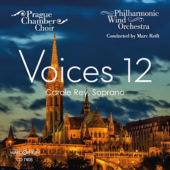 Voices 12 (CD)