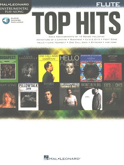 Hal Leonard Instrumental Play-Along: Top Hits , Fl (+Audiod)