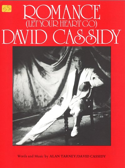 David Cassidy, Alan Tarney: Romance (Let Your Heart Go)