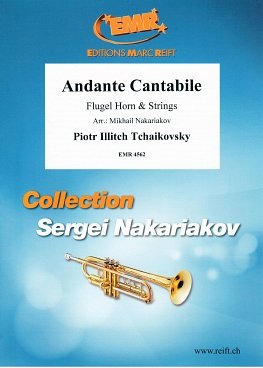 P.I. Tchaikovsky: Andante Cantabile
