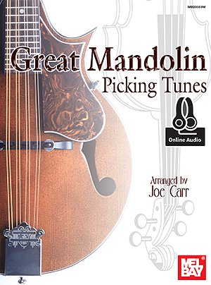 Great Mandolin Picking Tunes Book, Mand (+OnlAudio)