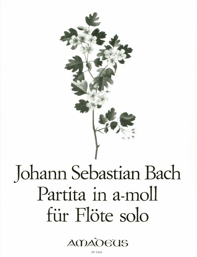 J.S. Bach: Partita a-Moll BWV 1013, Fl