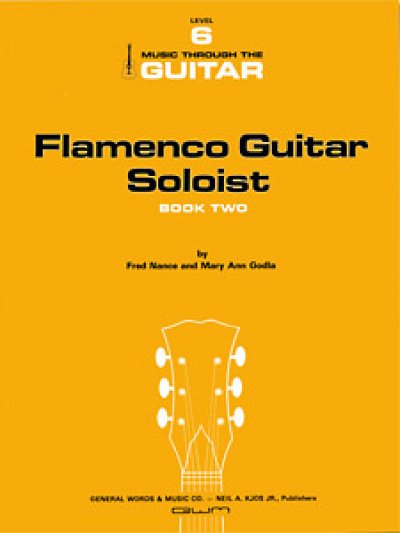 Flamenco Guitar Soloist 2, Git