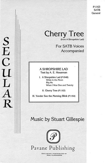 Cherry Tree, GchKlav (Chpa)