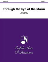 R. Meeboer: Through the Eye of the Storm