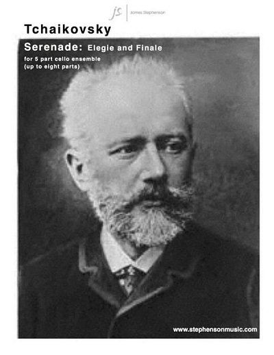 P.I. Tchaikovsky: Serenade: Elegie and Finale