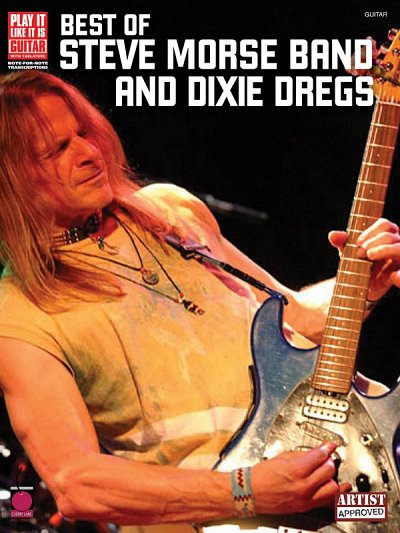 Best of Steve Morse Band and Dixie Dregs, Git