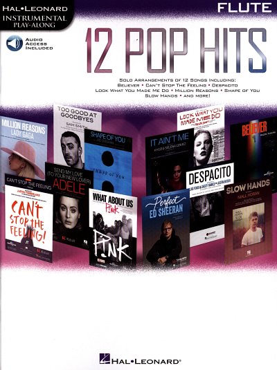 12 Pop Hits - Flute, Fl