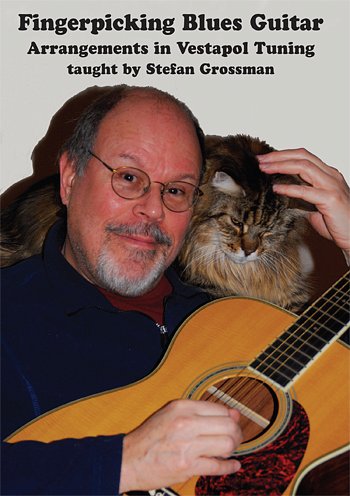 Fingerpicking Blues Guitar, Git (DVD)