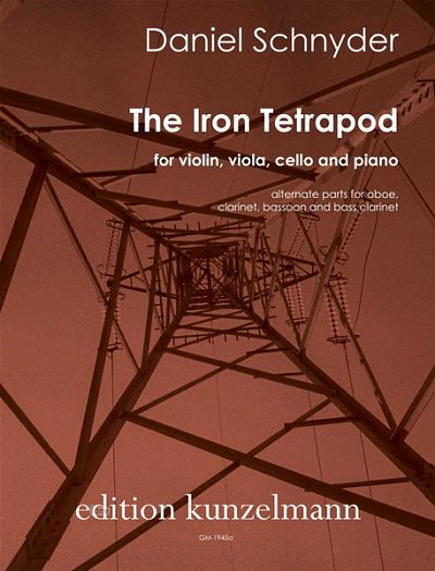 D. Schnyder: The iron tetrapod