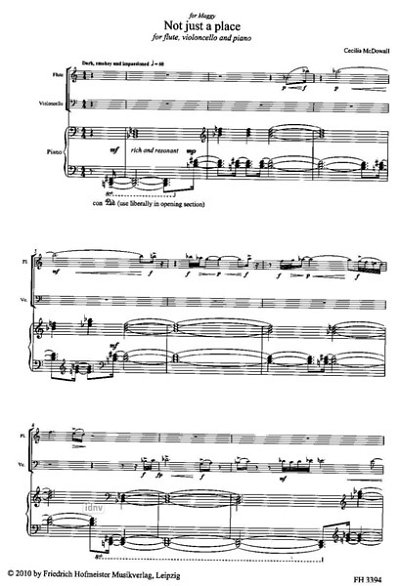 C. McDowall: Not just a Place für Flöte, (Stsatz)