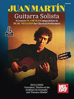 Guitarra Solista