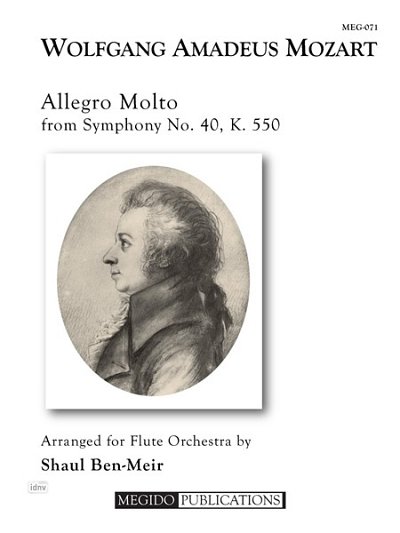 Allegro Molto From Symphony No. 40, FlEns (Bu)