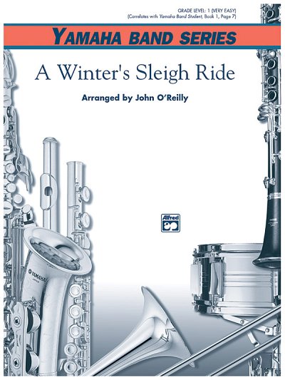 A Winter's Sleighride