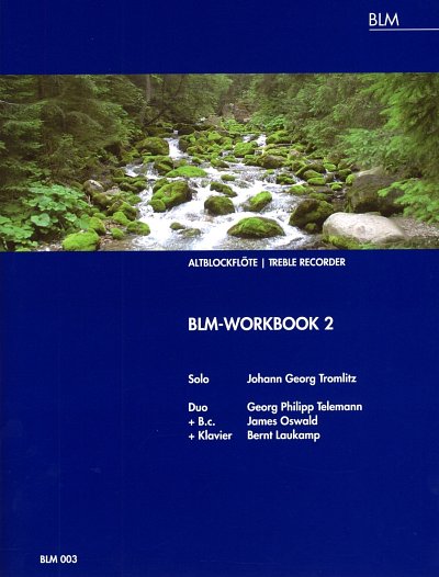 U. Schmidt-Laukamp: BLM-Workbook 2 (Sppart)