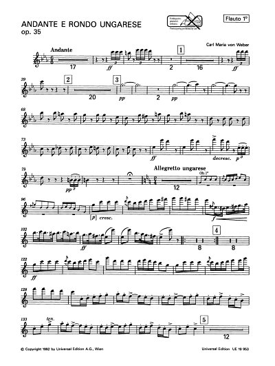 C.M. von Weber: Andante e Rondo Ungarese c-Moll op. 35