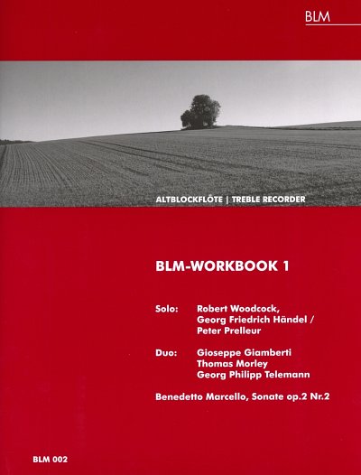 BLM-Workbook 1 fuer Altblockfloete