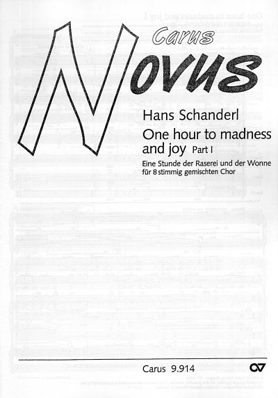H. Schanderl: One hour to madness and joy (2001)
