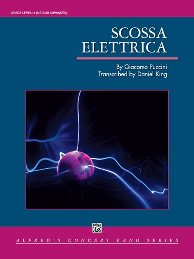 G. Puccini et al.: Scossa Elettrica
