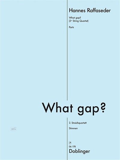 H. Raffaseder: What gap?
