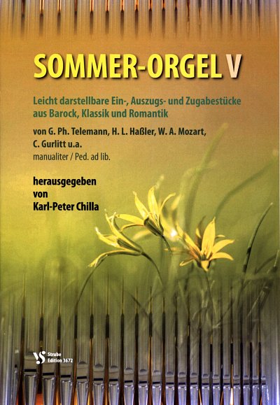 Sommer-Orgel 5