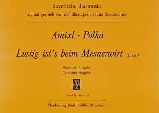 G. Jahnen: Amixl Polka + Lustig Ist's Beim Besnerwirt, Blask