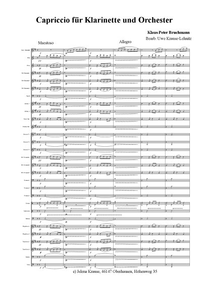 K. Bruchmann: Cariccio für Klarinette und Orchester
