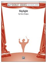S. Hodges et al.: Skylight