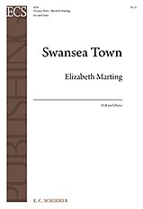 Swansea Town, FchKlav (Part.)