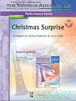 S. Feldstein et al.: Christmas Surprise
