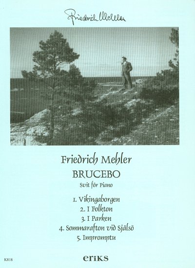 Friedrich Mehler: Brucebo