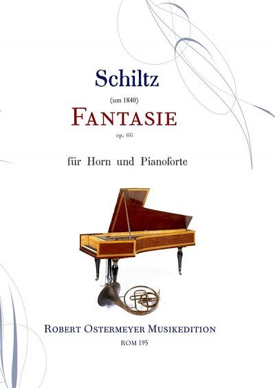 J. Schiltz: Fantasy op .66