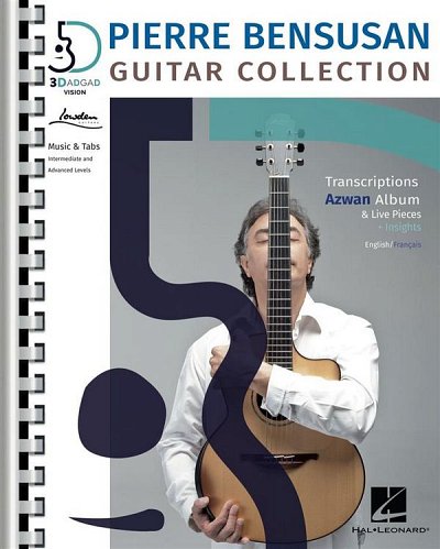 Pierre Bensusan Guitar Collection, Git