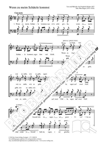 M. Reger: Wenn zu meim Schätzle kommst B-Dur op. WoO VI/10, 1 (1899)