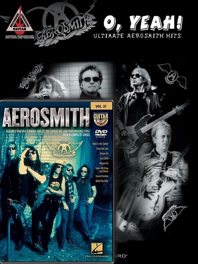 Aerosmith Guitar Pack, Git (NDVD)