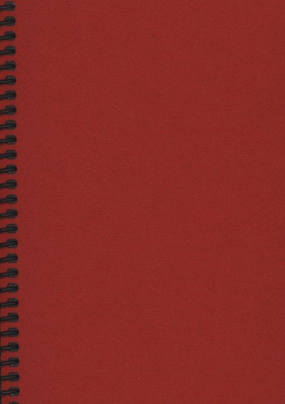 Marschmappen hoch 9x13 cm 10 Taschen (rot)