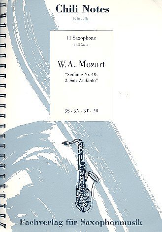 W.A. Mozart: Andante aus der Sinfonie Nr. 40 (Pa+St)