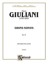 M. Giuliani et al.: Giuliani: Grand Sonata for Violin and Guitar, Op. 25