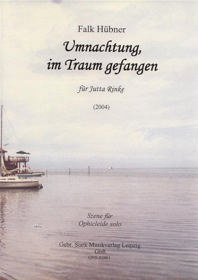 Huebner Falk: Umnachtung Im Traum Gefangen (2004)